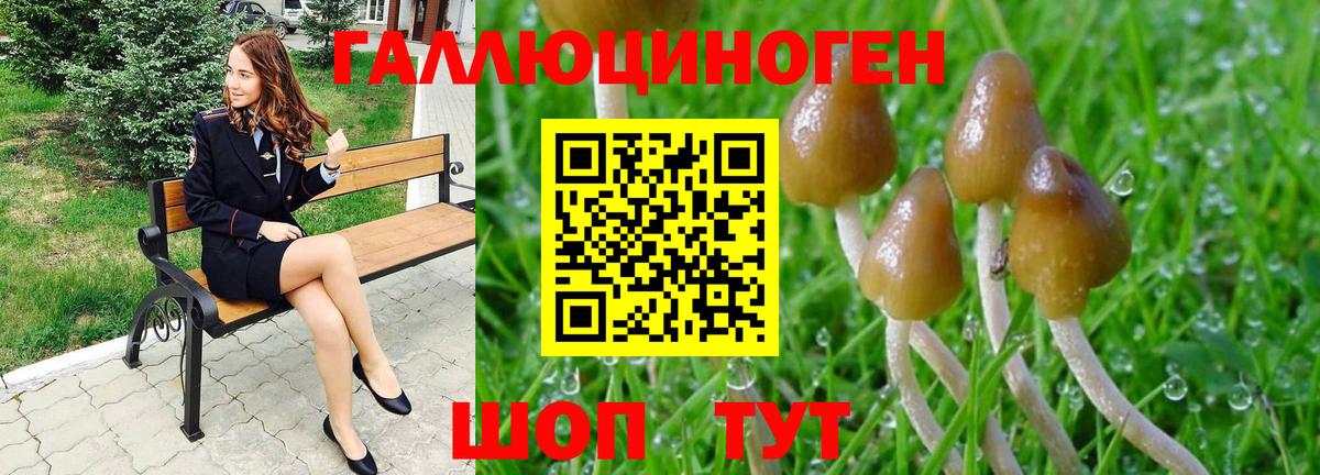 Галлюциногенные грибы Magic Shrooms  Вход с VPN  Галлюциногенные грибы GOLDEN TEACHER  Ялта 